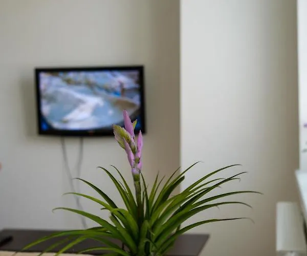 Kapitana Nalepku Anna